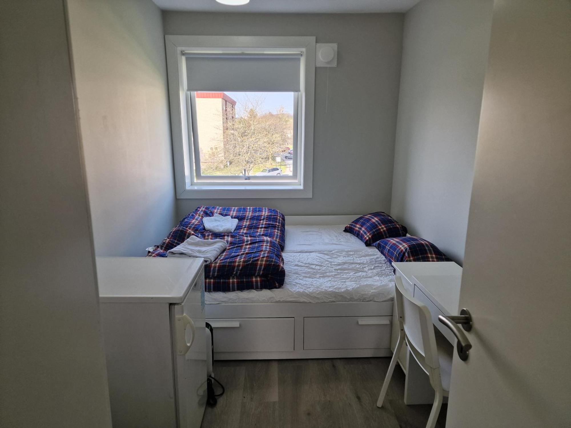 Privat Room In Shared 3 Rooms Apartment Manglerud 奥斯陆 外观 照片